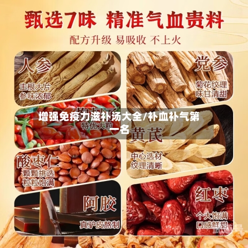 增强免疫力滋补汤大全/补血补气第一名