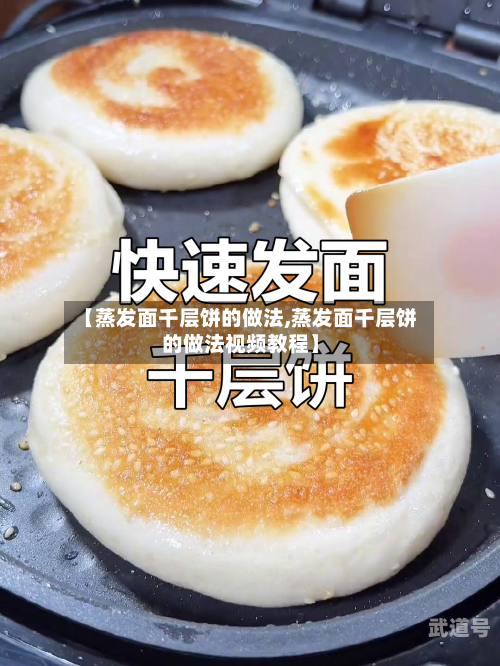 【蒸发面千层饼的做法,蒸发面千层饼的做法视频教程】-第3张图片