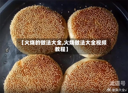 【火烧的做法大全,火烧做法大全视频教程】-第2张图片