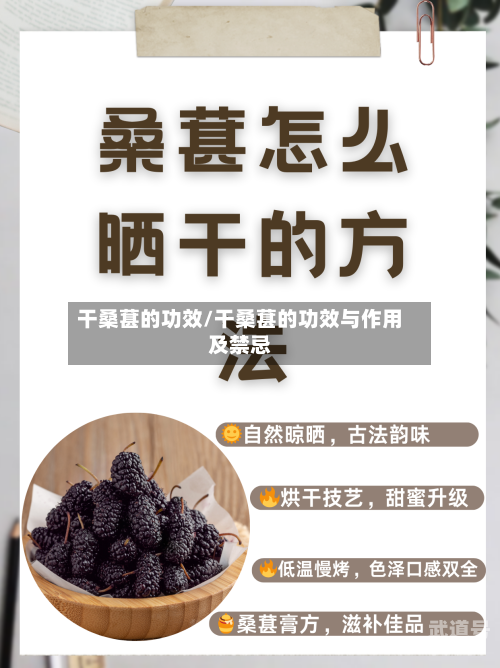 干桑葚的功效/干桑葚的功效与作用及禁忌