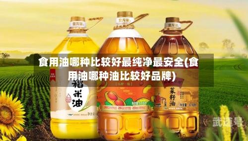 食用油哪种比较好最纯净最安全(食用油哪种油比较好品牌)-第2张图片