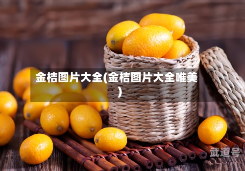 金桔图片大全(金桔图片大全唯美)