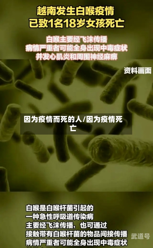 因为疫情而死的人/因为疫情死亡