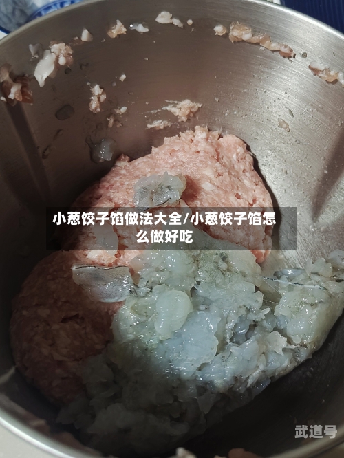 小葱饺子馅做法大全/小葱饺子馅怎么做好吃
