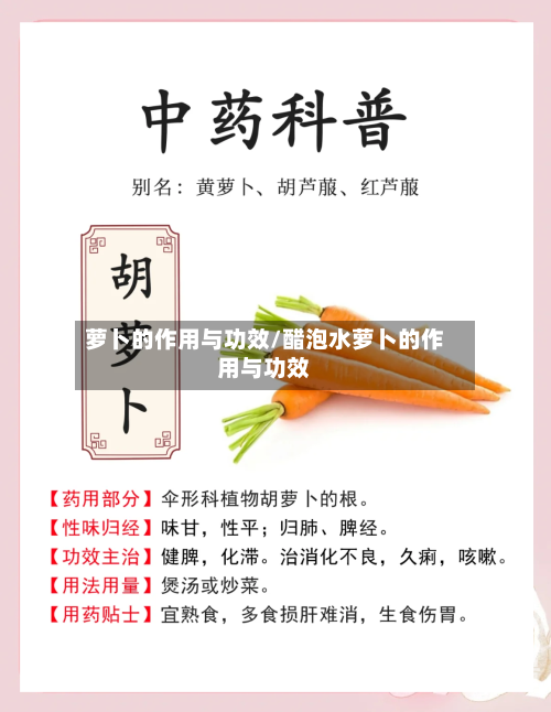 萝卜的作用与功效/醋泡水萝卜的作用与功效