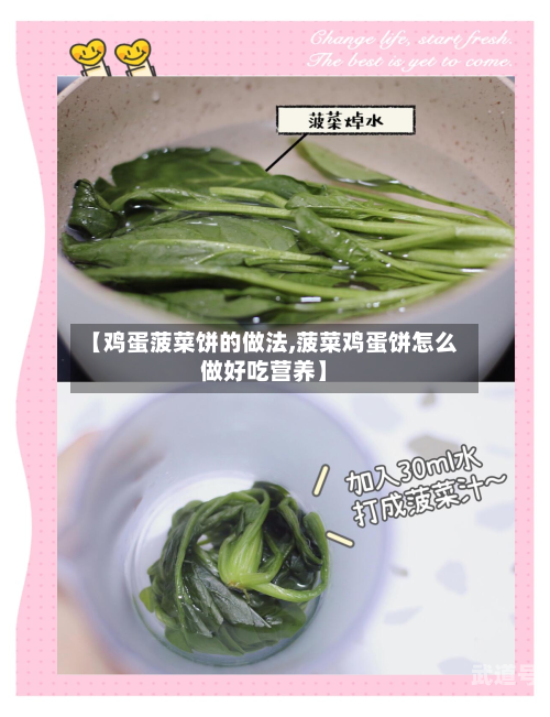 【鸡蛋菠菜饼的做法,菠菜鸡蛋饼怎么做好吃营养】