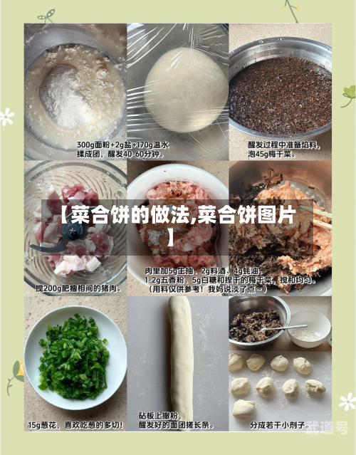 【菜合饼的做法,菜合饼图片】