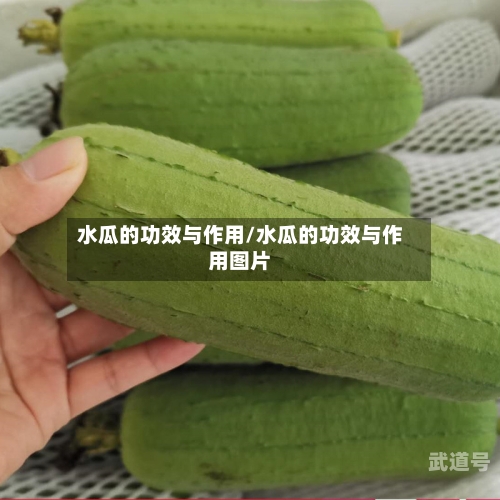 水瓜的功效与作用/水瓜的功效与作用图片