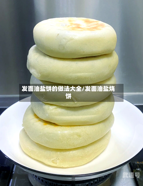 发面油盐饼的做法大全/发面油盐烧饼