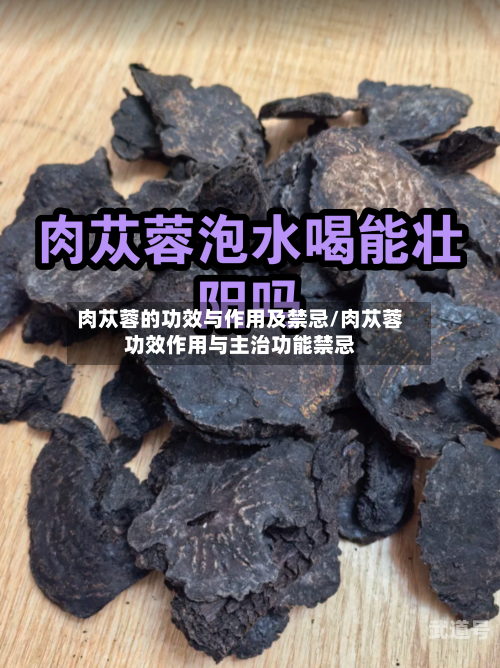肉苁蓉的功效与作用及禁忌/肉苁蓉功效作用与主治功能禁忌