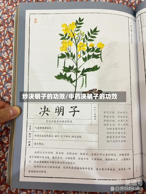 炒决明子的功效/中药决明子的功效