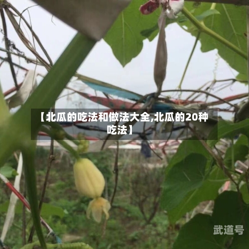 【北瓜的吃法和做法大全,北瓜的20种吃法】