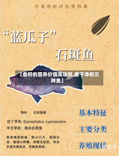 【鱼籽的营养价值及功效,最干净的三种鱼】-第3张图片