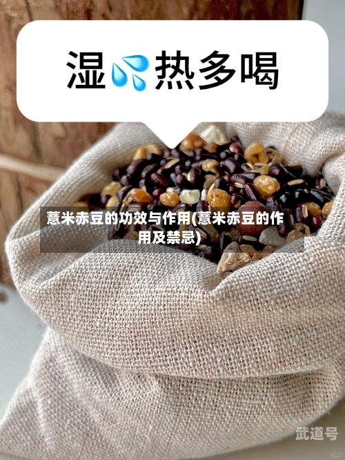 薏米赤豆的功效与作用(薏米赤豆的作用及禁忌)
