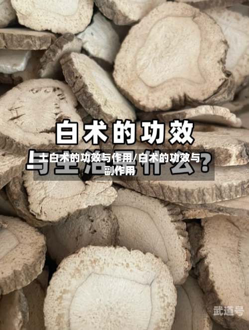 土白术的功效与作用/白术的功效与副作用