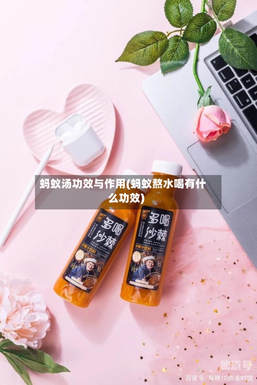 蚂蚁汤功效与作用(蚂蚁熬水喝有什么功效)