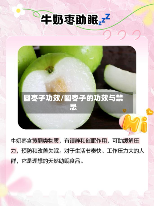圆枣子功效/圆枣子的功效与禁忌-第3张图片
