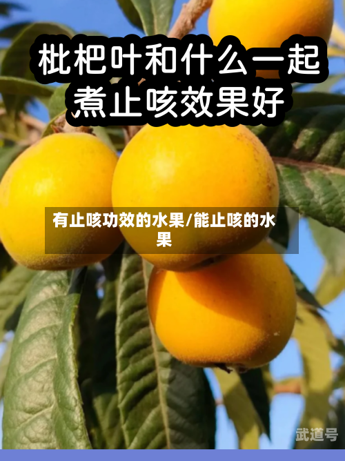有止咳功效的水果/能止咳的水果