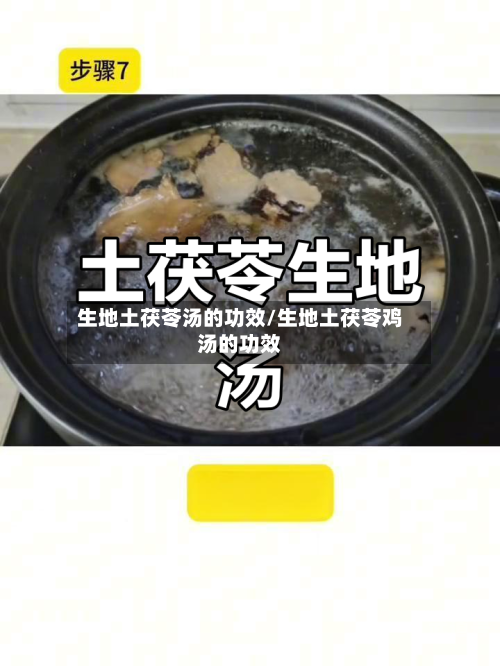 生地土茯苓汤的功效/生地土茯苓鸡汤的功效-第3张图片