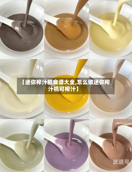 【迷你榨汁机食谱大全,怎么做迷你榨汁机可榨汁】
