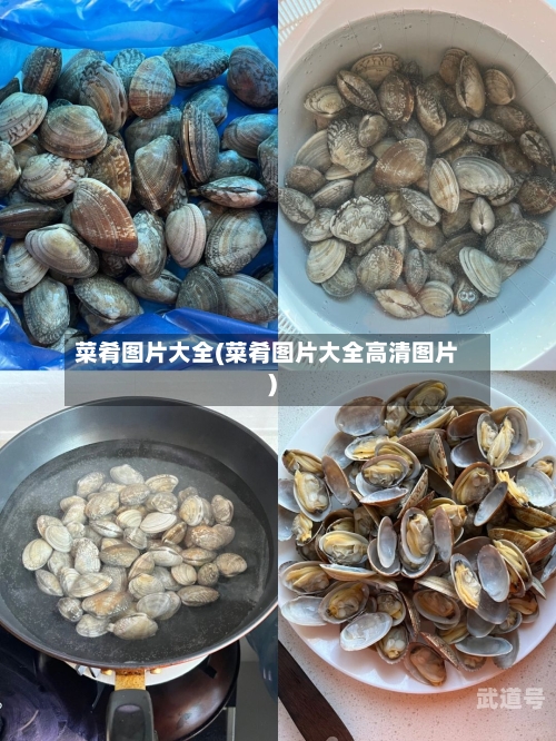 菜肴图片大全(菜肴图片大全高清图片)-第3张图片
