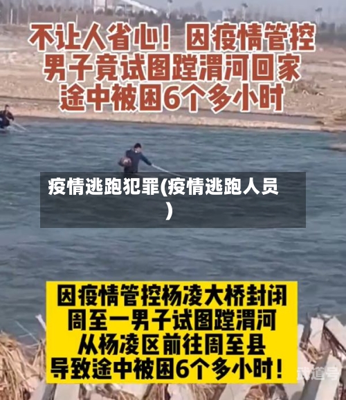 疫情逃跑犯罪(疫情逃跑人员)