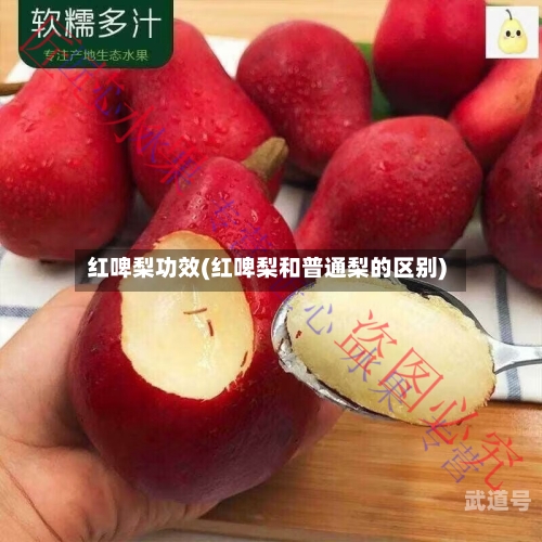 红啤梨功效(红啤梨和普通梨的区别)