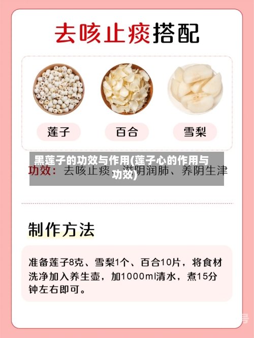 黑莲子的功效与作用(莲子心的作用与功效)