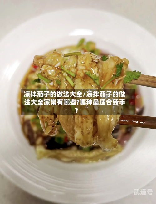 凉拌茄子的做法大全/凉拌茄子的做法大全家常有哪些?哪种最适合新手?