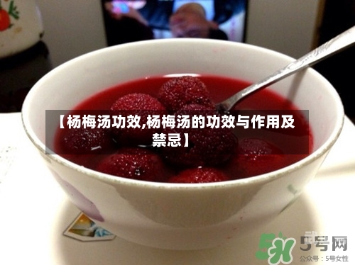 【杨梅汤功效,杨梅汤的功效与作用及禁忌】