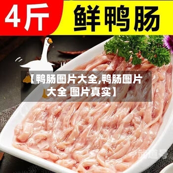 【鸭肠图片大全,鸭肠图片大全 图片真实】