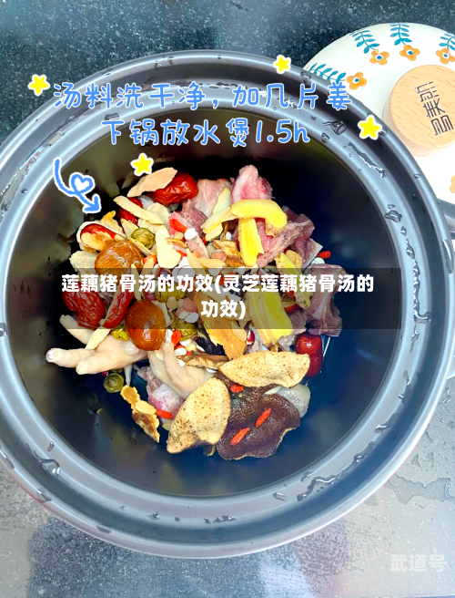 莲藕猪骨汤的功效(灵芝莲藕猪骨汤的功效)-第3张图片