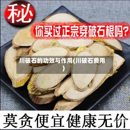川破石的功效与作用(川破石费用)