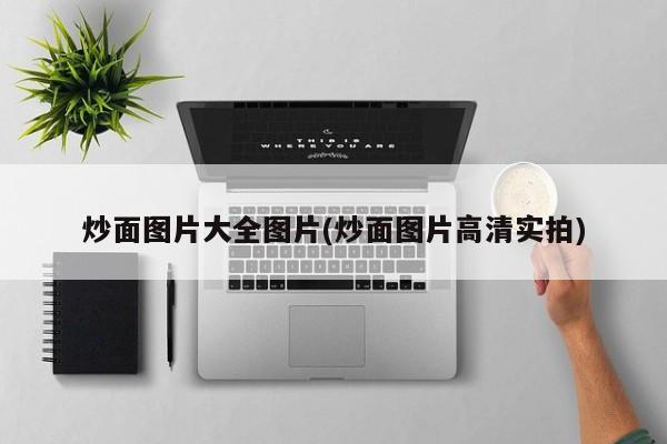 炒面图片大全图片(炒面图片高清实拍)