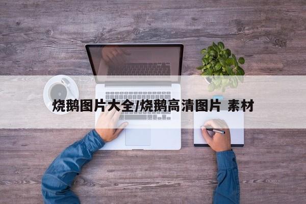 烧鹅图片大全/烧鹅高清图片 素材