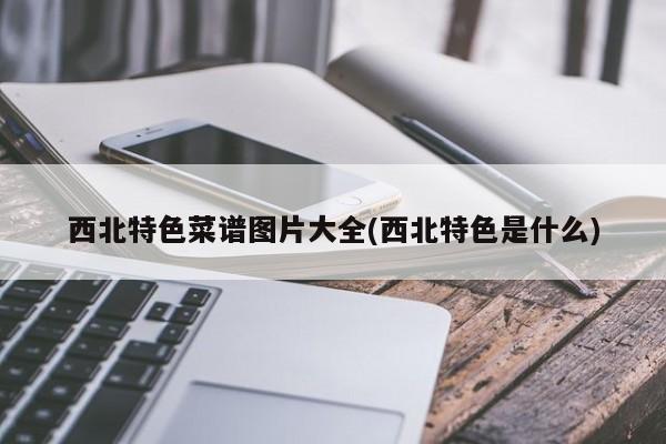 西北特色菜谱图片大全(西北特色是什么)