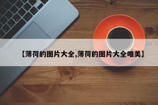 【薄荷的图片大全,薄荷的图片大全唯美】