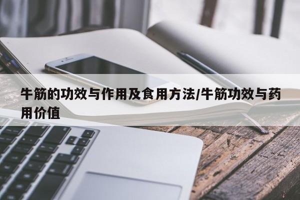 牛筋的功效与作用及食用方法/牛筋功效与药用价值