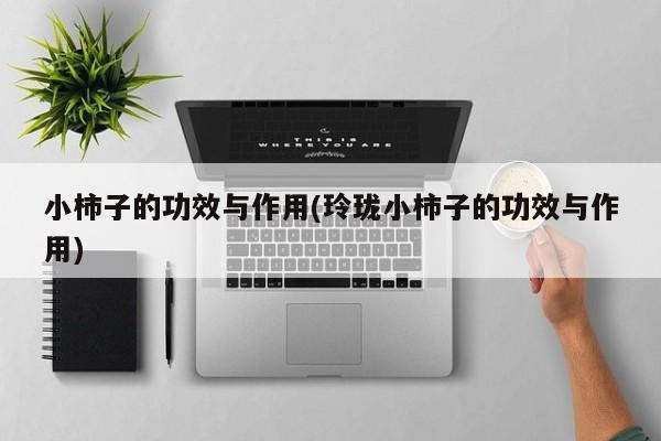 小柿子的功效与作用(玲珑小柿子的功效与作用)