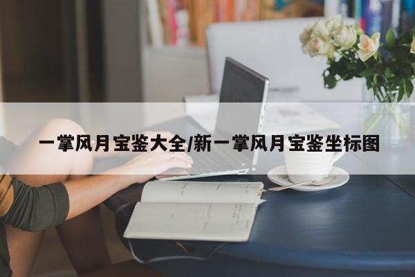 一掌风月宝鉴大全/新一掌风月宝鉴坐标图