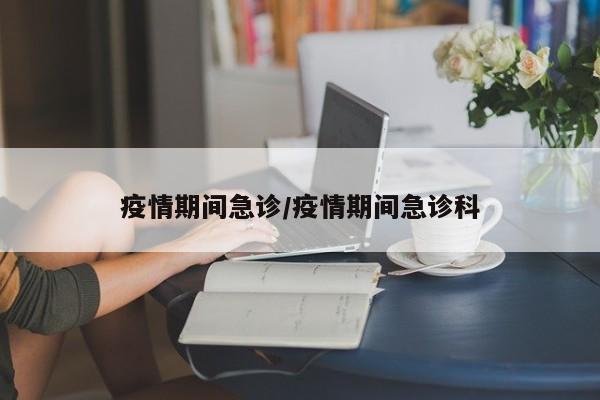 疫情期间急诊/疫情期间急诊科