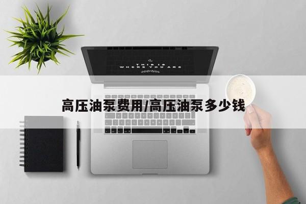 高压油泵费用/高压油泵多少钱
