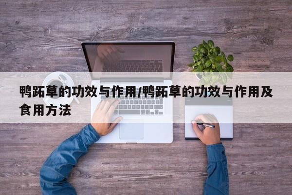 鸭跖草的功效与作用/鸭跖草的功效与作用及食用方法