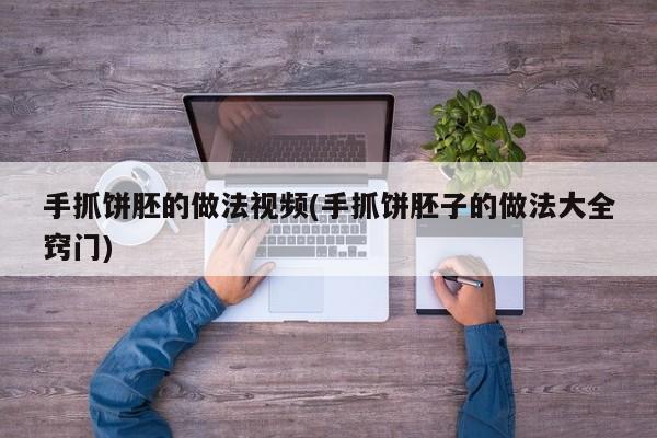 手抓饼胚的做法视频(手抓饼胚子的做法大全窍门)